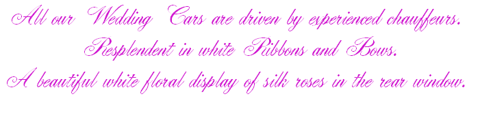 All our Wedding Cars are driven by experienced chauffeurs.
 Resplendent in white Ribbons and Bows.
A beautiful white floral display of silk roses in the rear window. 

